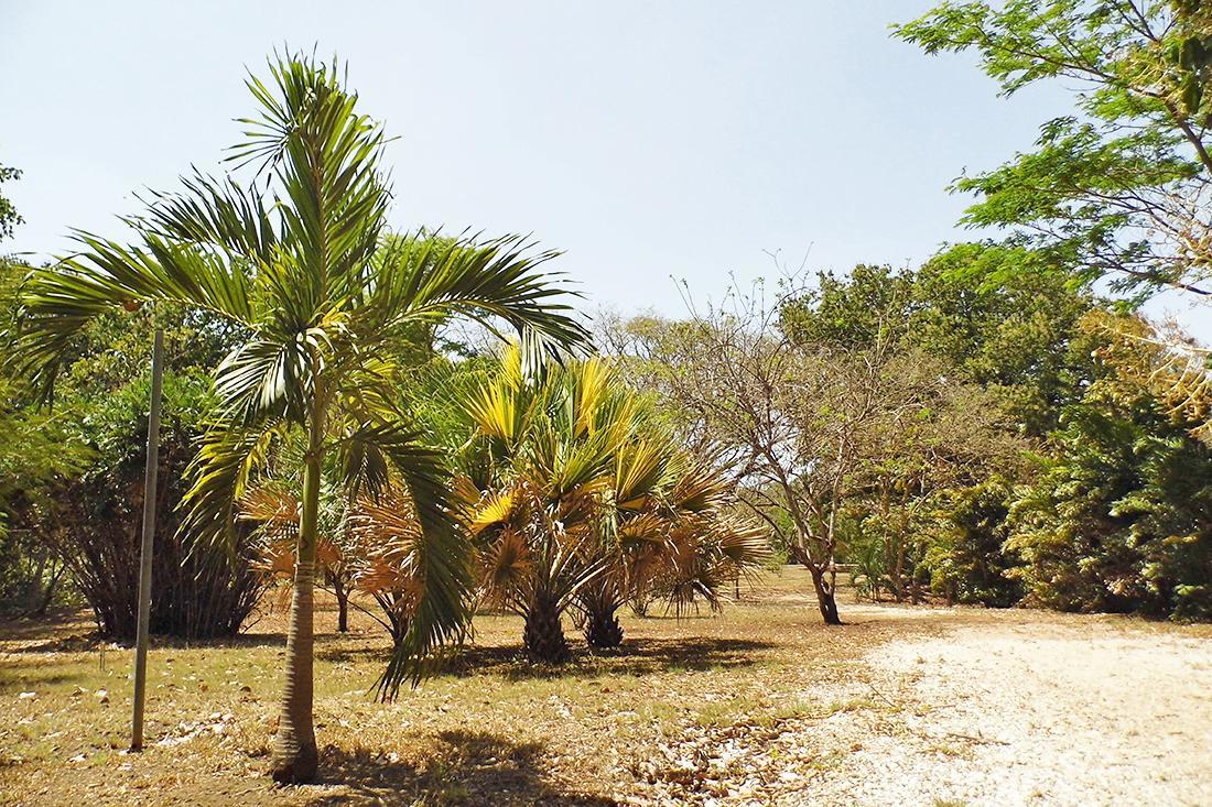 Hotel Rio Tempisque Nicoya Zewnętrze zdjęcie